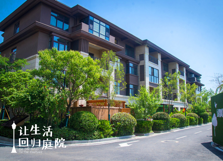 前后张望南阳50年：这样的天井，很难再有了！