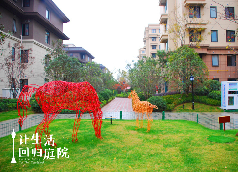 前后张望南阳50年：这样的天井，很难再有了！