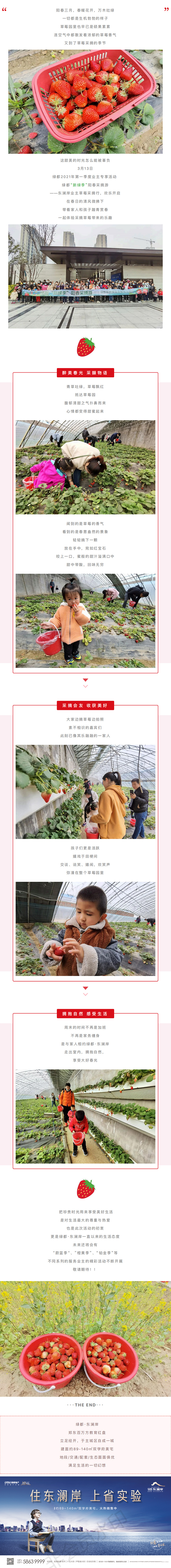 草莓采摘行|“莓”好同业，不负春日好时光