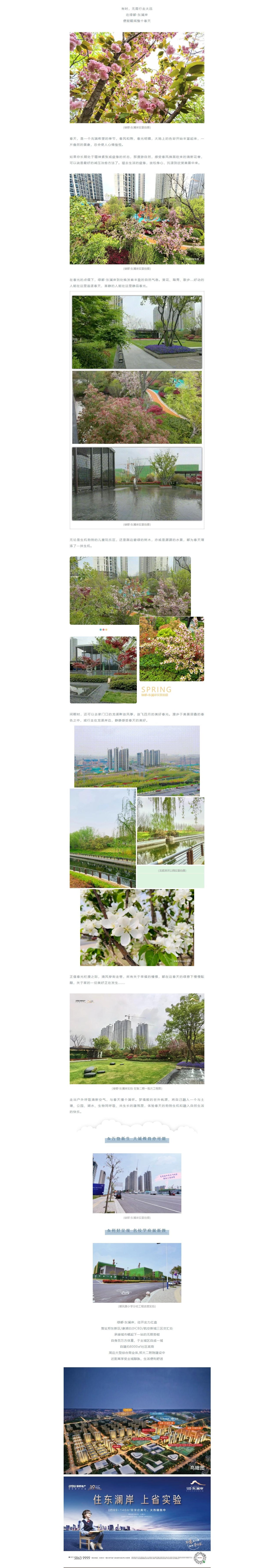 赏花踏青，来一场和春天的约会