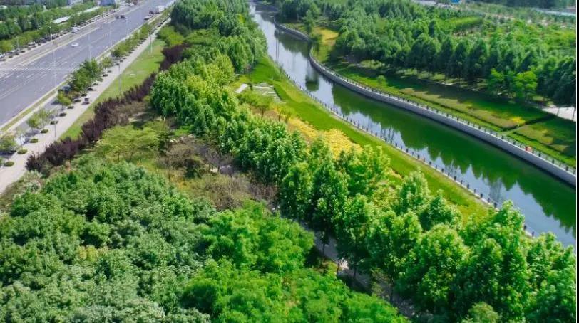 定了！“神兽”线上开学，家里有学生的必看！