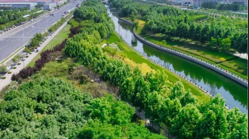 8#楼王加推在即 | 经开顶流热盘，这一次千万别错过！