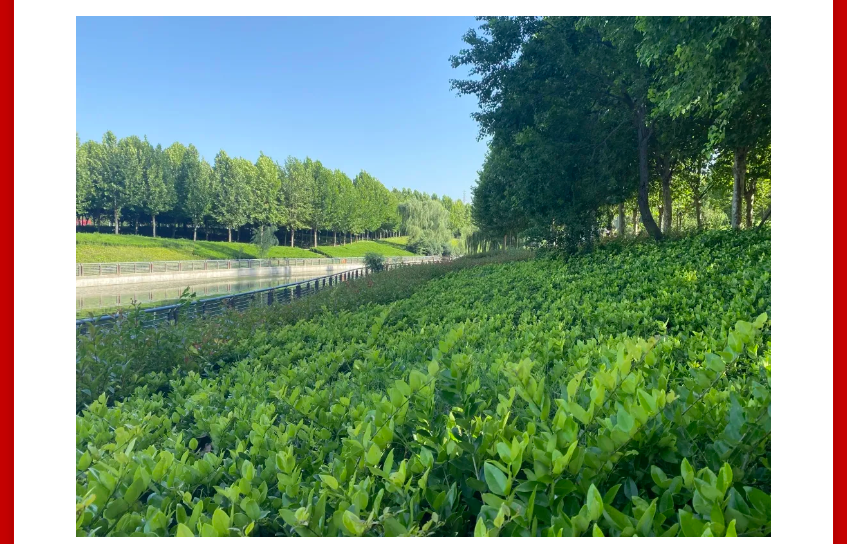 年终薅好房，这个明星红盘把“出圈”进行到底！